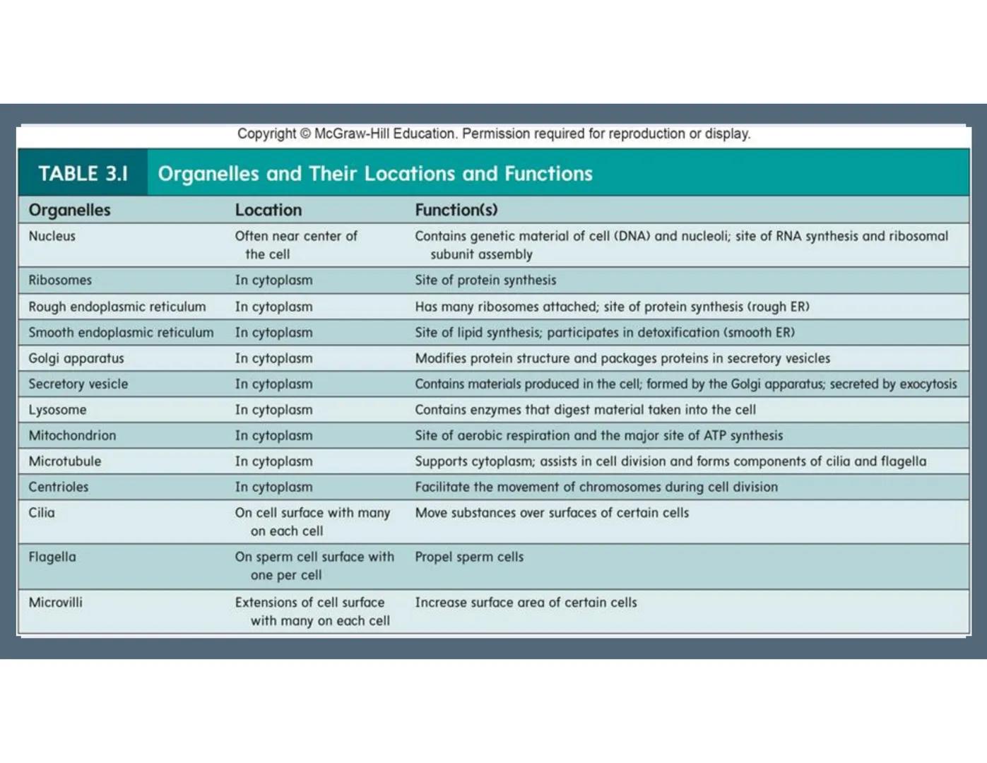 # 01
Functions of the cell Cells- basic units of all living things
Plasma membrane/ cell membrane- outer
boundary of the cell; cell interac