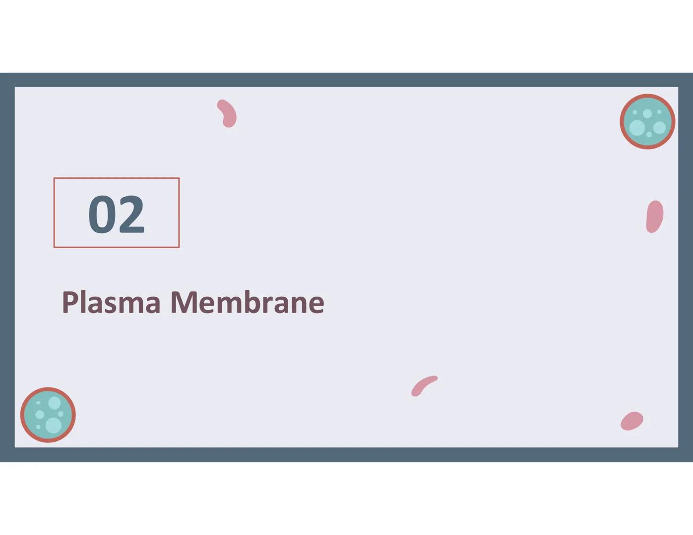 # 01
Functions of the cell Cells- basic units of all living things
Plasma membrane/ cell membrane- outer
boundary of the cell; cell interac