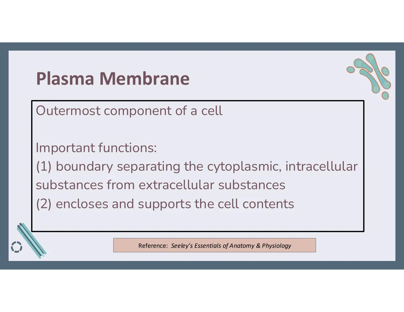 # 01
Functions of the cell Cells- basic units of all living things
Plasma membrane/ cell membrane- outer
boundary of the cell; cell interac