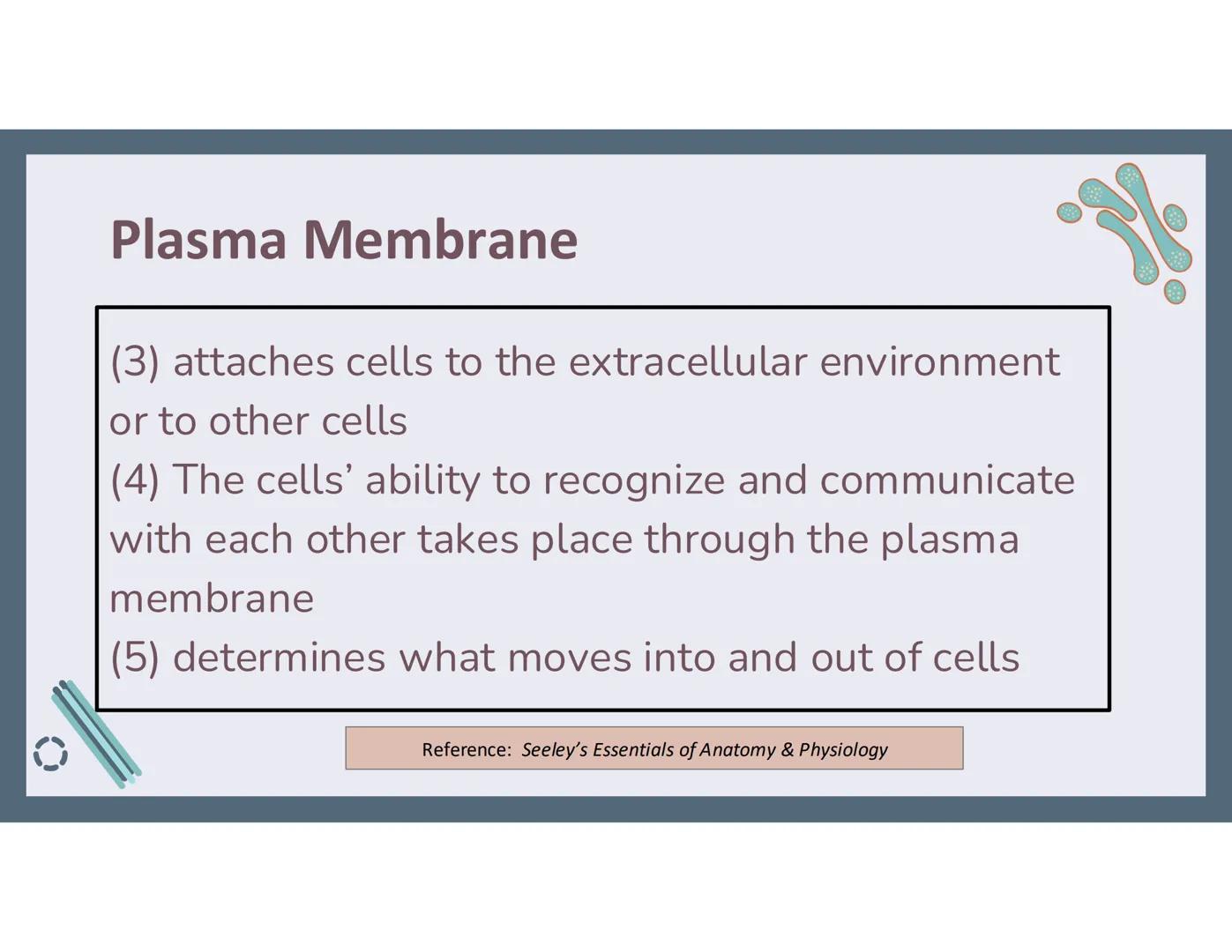 # 01
Functions of the cell Cells- basic units of all living things
Plasma membrane/ cell membrane- outer
boundary of the cell; cell interac