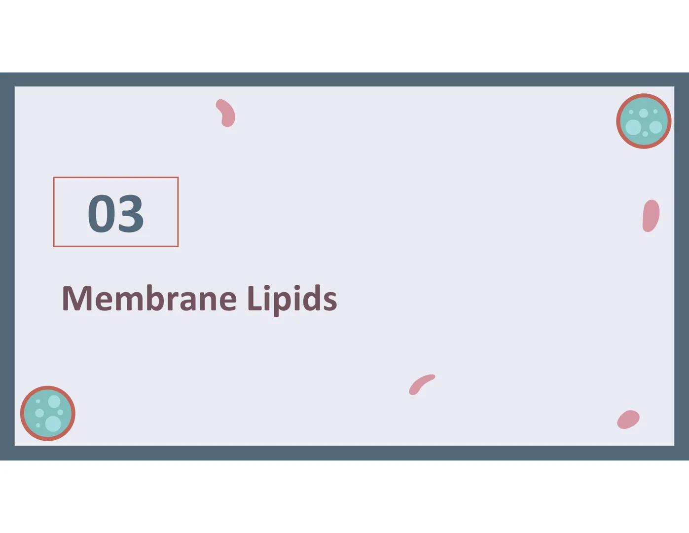 # 01
Functions of the cell Cells- basic units of all living things
Plasma membrane/ cell membrane- outer
boundary of the cell; cell interac