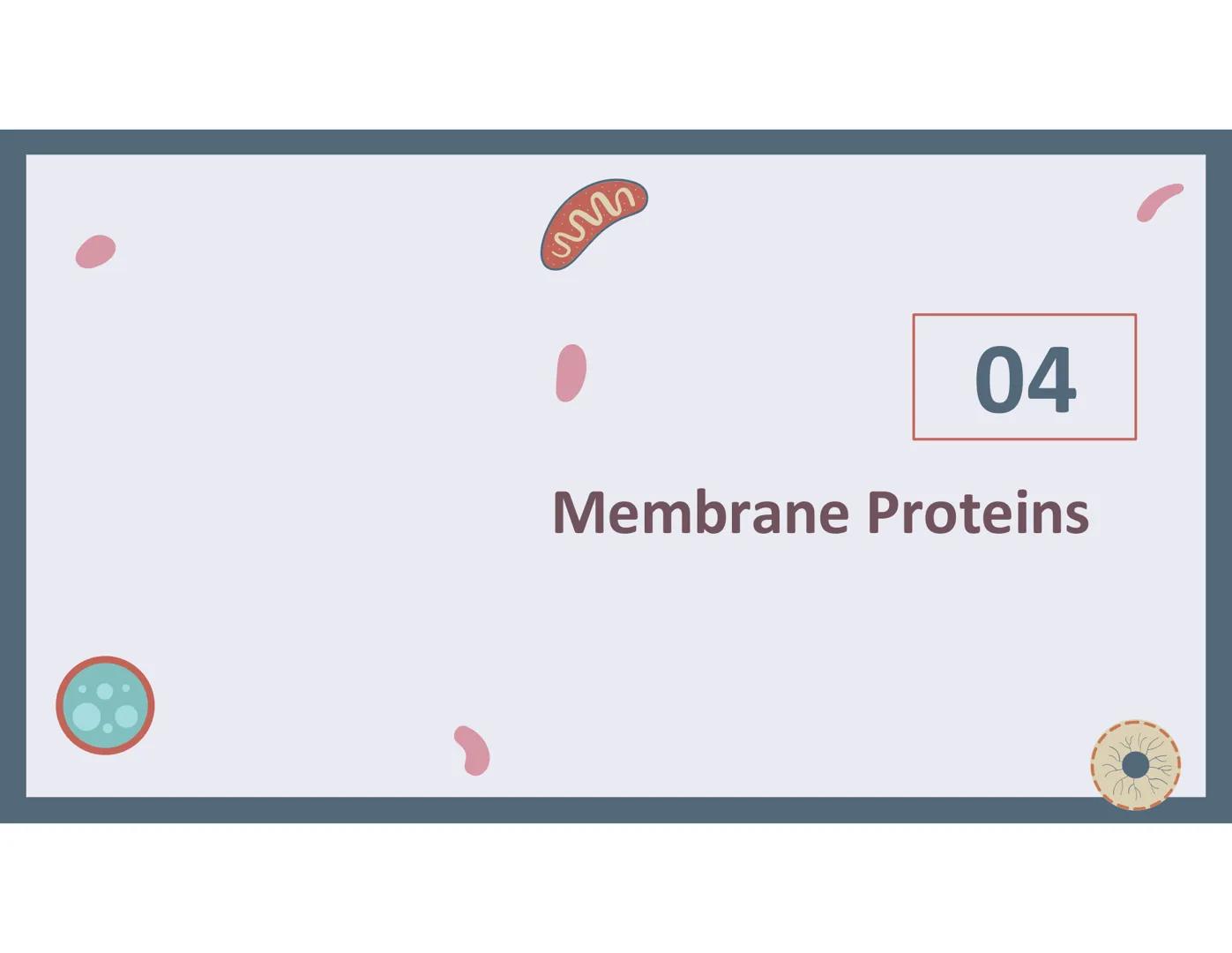# 01
Functions of the cell Cells- basic units of all living things
Plasma membrane/ cell membrane- outer
boundary of the cell; cell interac