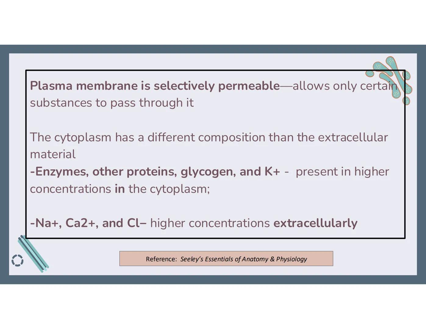 # 01
Functions of the cell Cells- basic units of all living things
Plasma membrane/ cell membrane- outer
boundary of the cell; cell interac