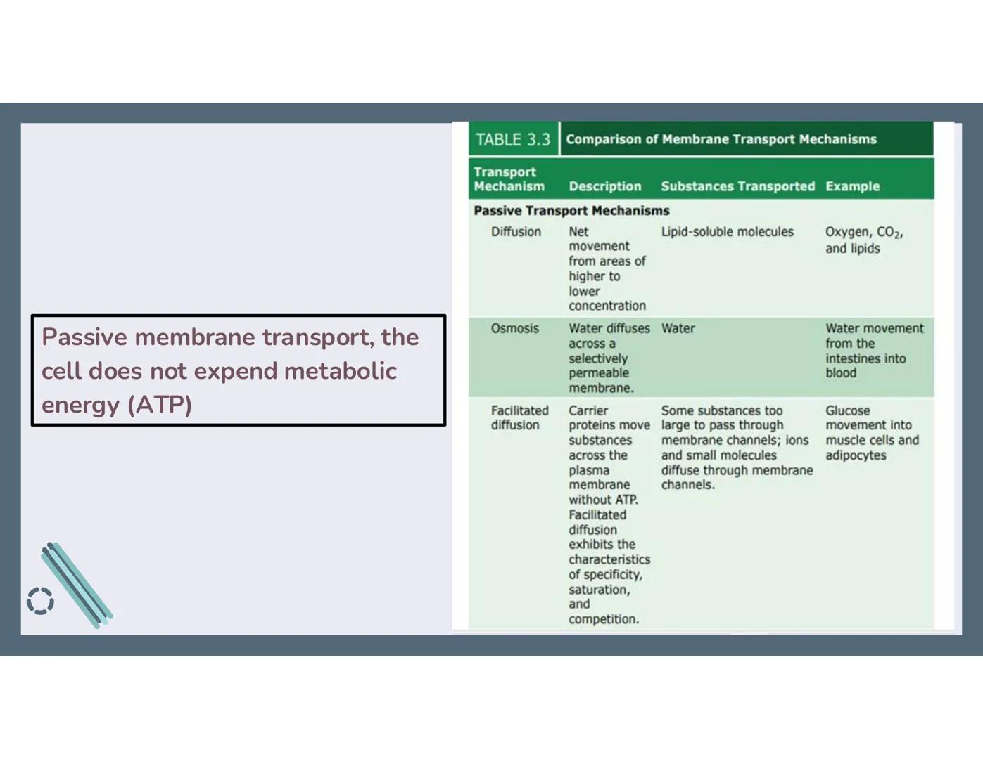 # 01
Functions of the cell Cells- basic units of all living things
Plasma membrane/ cell membrane- outer
boundary of the cell; cell interac