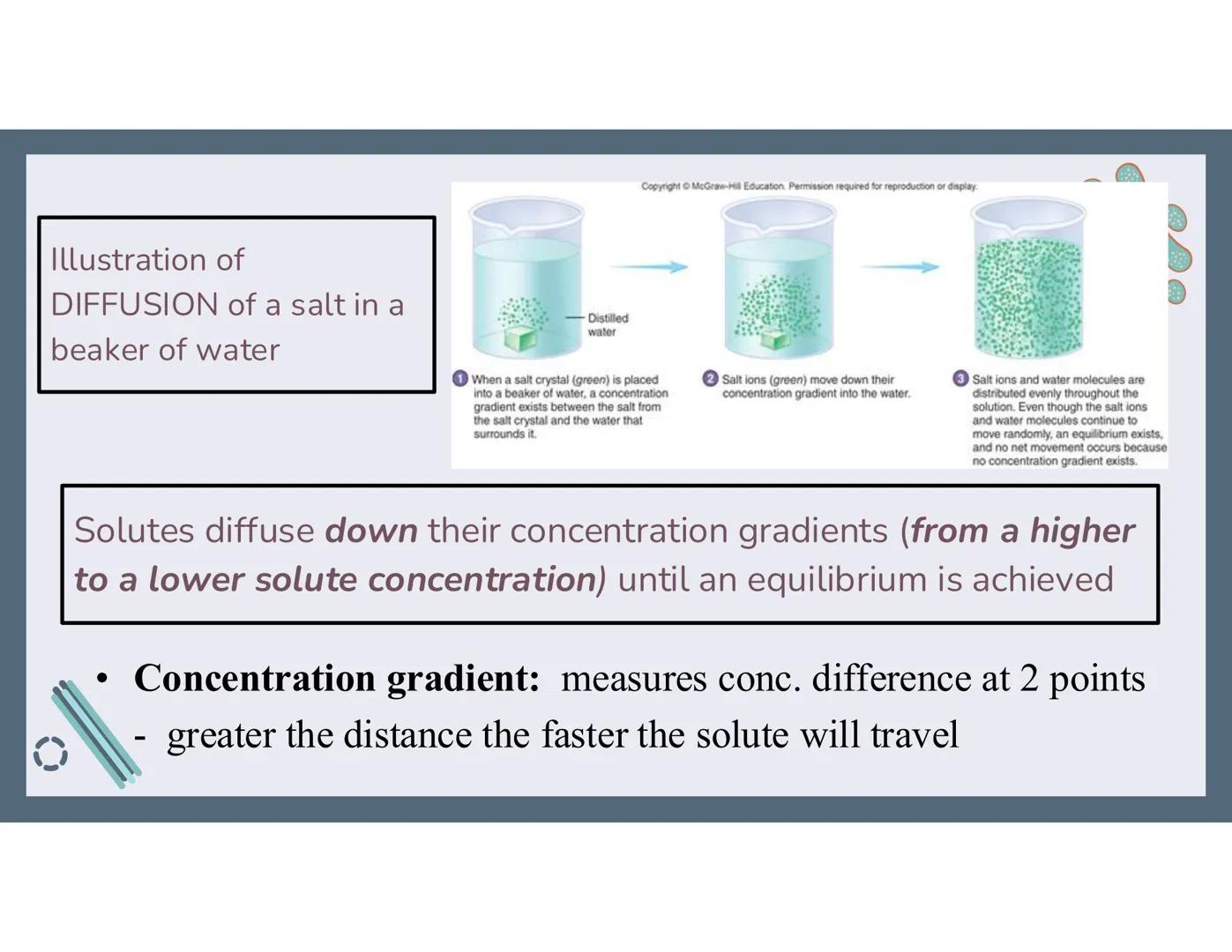 # 01
Functions of the cell Cells- basic units of all living things
Plasma membrane/ cell membrane- outer
boundary of the cell; cell interac