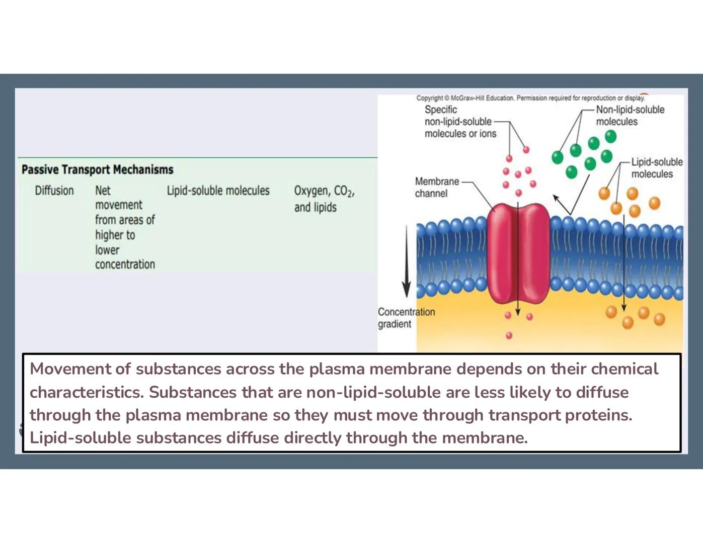 # 01
Functions of the cell Cells- basic units of all living things
Plasma membrane/ cell membrane- outer
boundary of the cell; cell interac