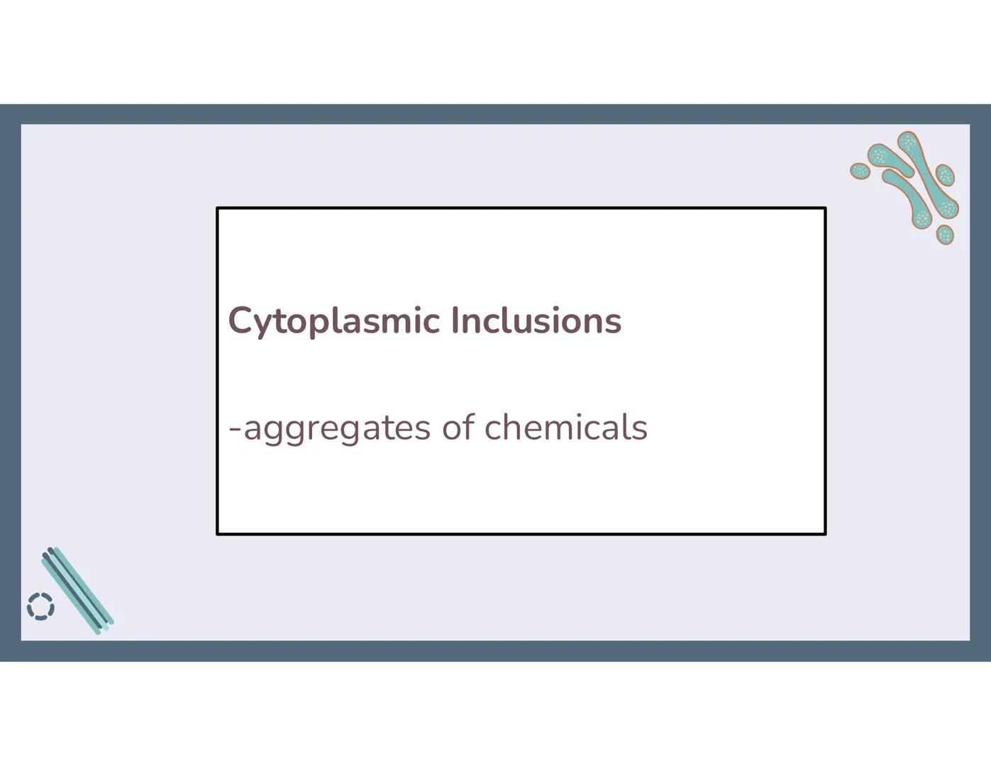 # 01
Functions of the cell Cells- basic units of all living things
Plasma membrane/ cell membrane- outer
boundary of the cell; cell interac