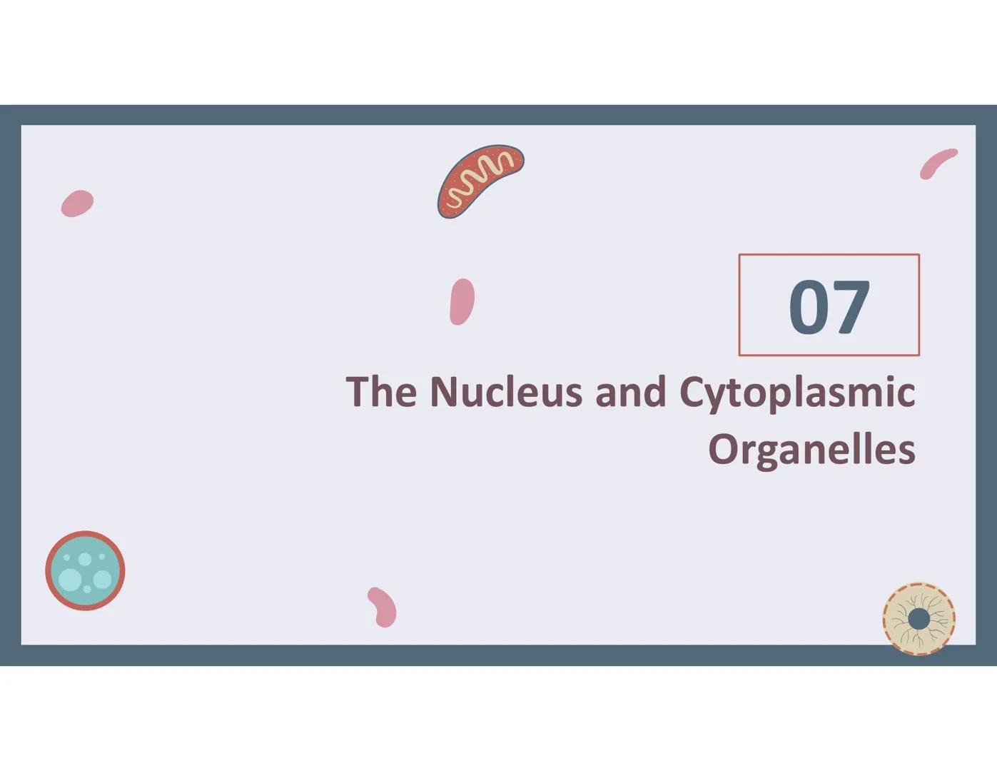 # 01
Functions of the cell Cells- basic units of all living things
Plasma membrane/ cell membrane- outer
boundary of the cell; cell interac
