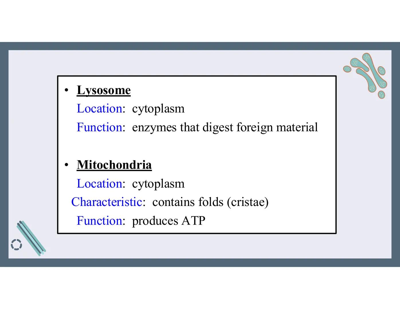 # 01
Functions of the cell Cells- basic units of all living things
Plasma membrane/ cell membrane- outer
boundary of the cell; cell interac