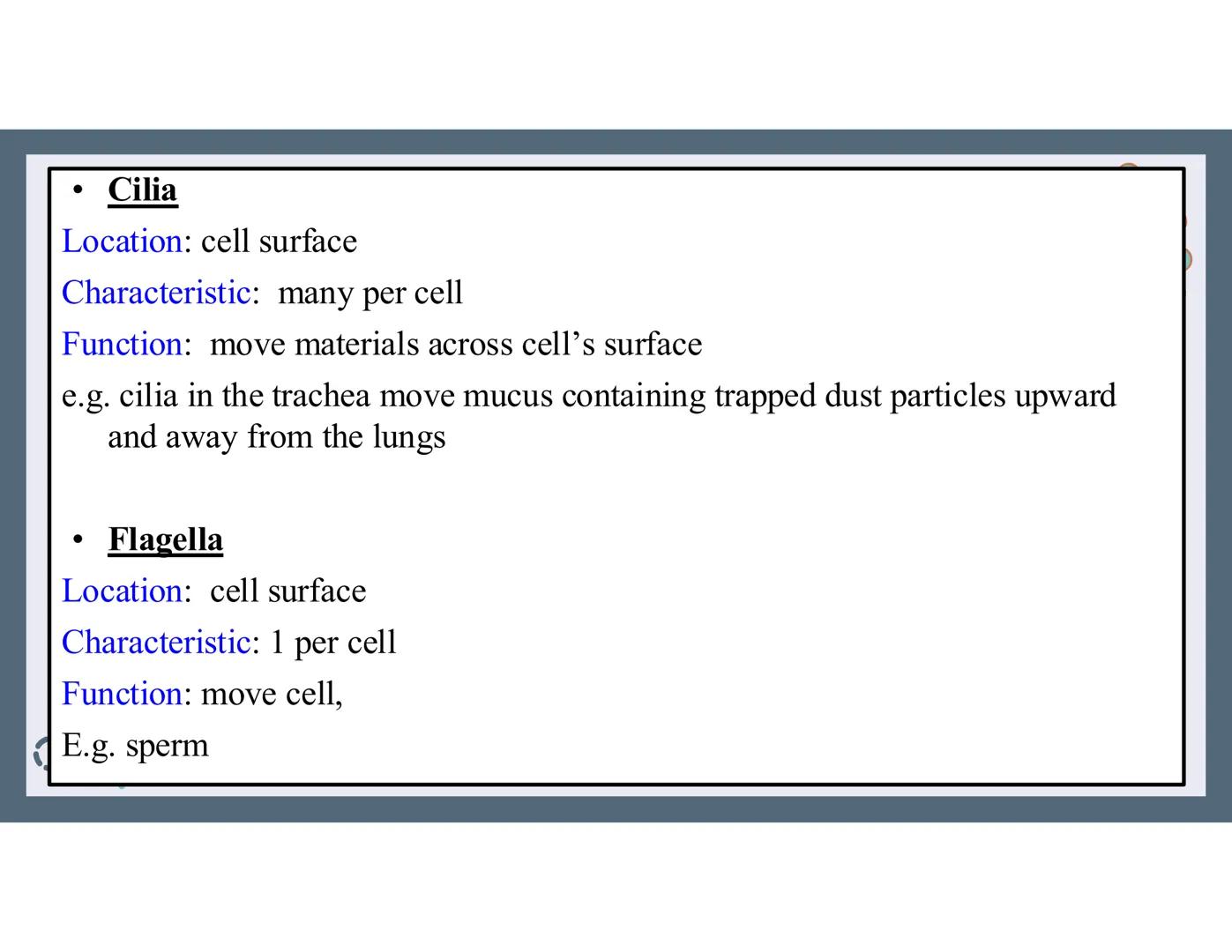 # 01
Functions of the cell Cells- basic units of all living things
Plasma membrane/ cell membrane- outer
boundary of the cell; cell interac