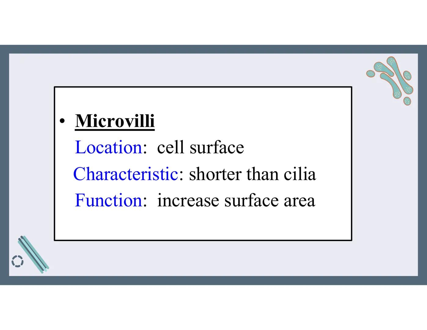 # 01
Functions of the cell Cells- basic units of all living things
Plasma membrane/ cell membrane- outer
boundary of the cell; cell interac