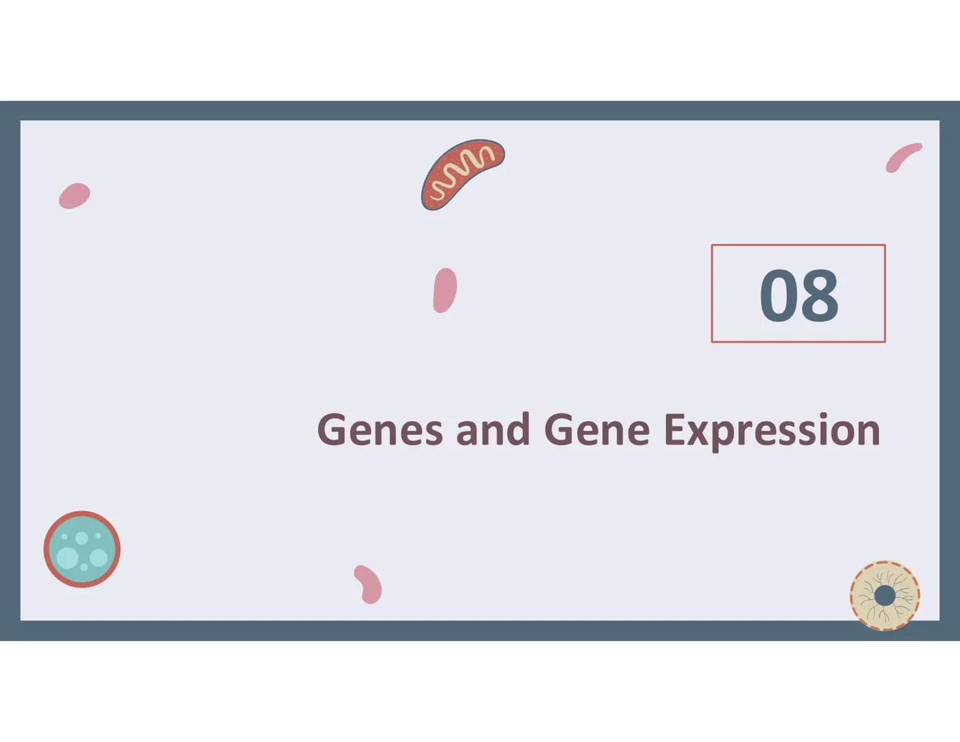# 01
Functions of the cell Cells- basic units of all living things
Plasma membrane/ cell membrane- outer
boundary of the cell; cell interac