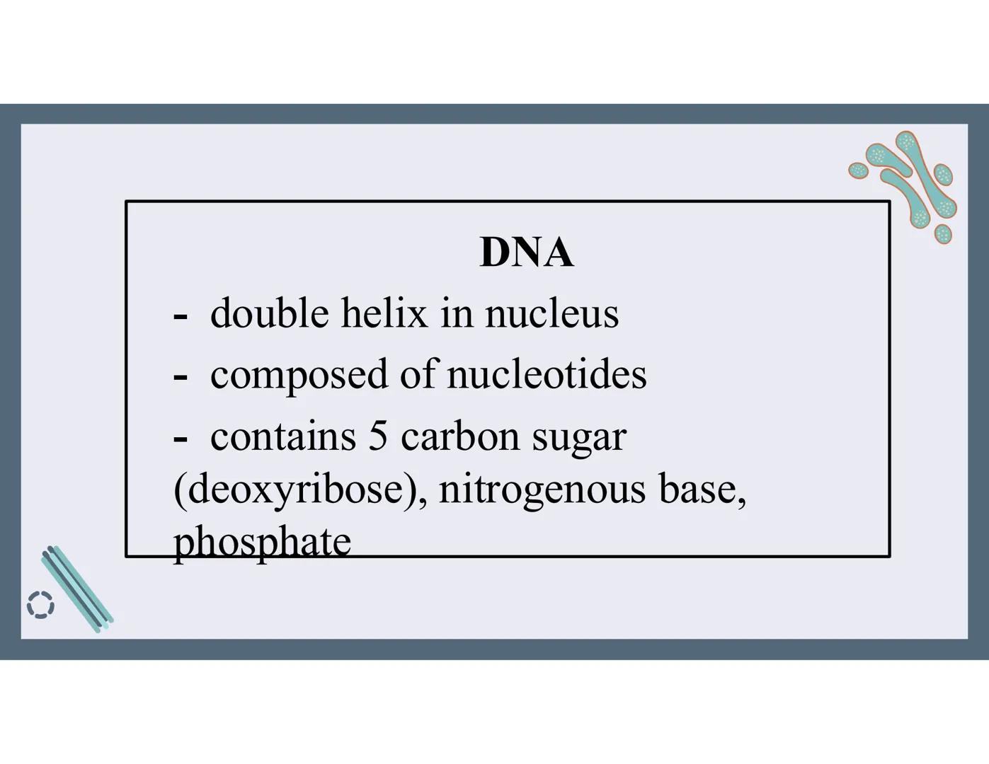# 01
Functions of the cell Cells- basic units of all living things
Plasma membrane/ cell membrane- outer
boundary of the cell; cell interac