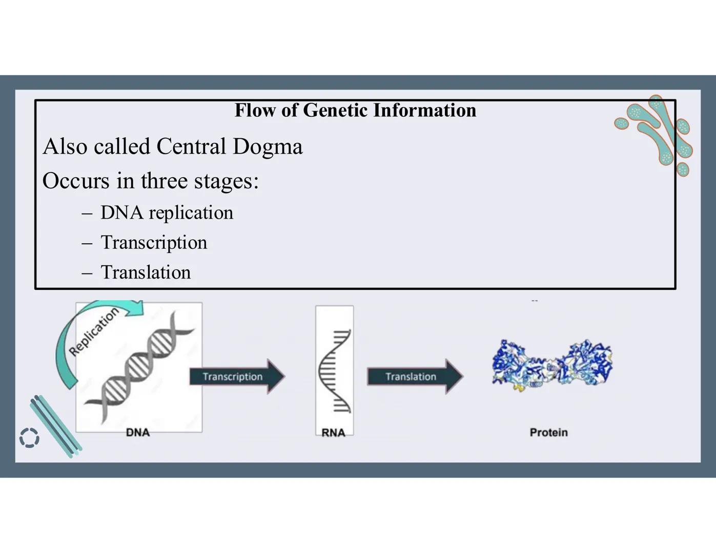 # 01
Functions of the cell Cells- basic units of all living things
Plasma membrane/ cell membrane- outer
boundary of the cell; cell interac