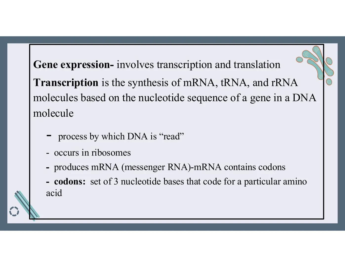 # 01
Functions of the cell Cells- basic units of all living things
Plasma membrane/ cell membrane- outer
boundary of the cell; cell interac