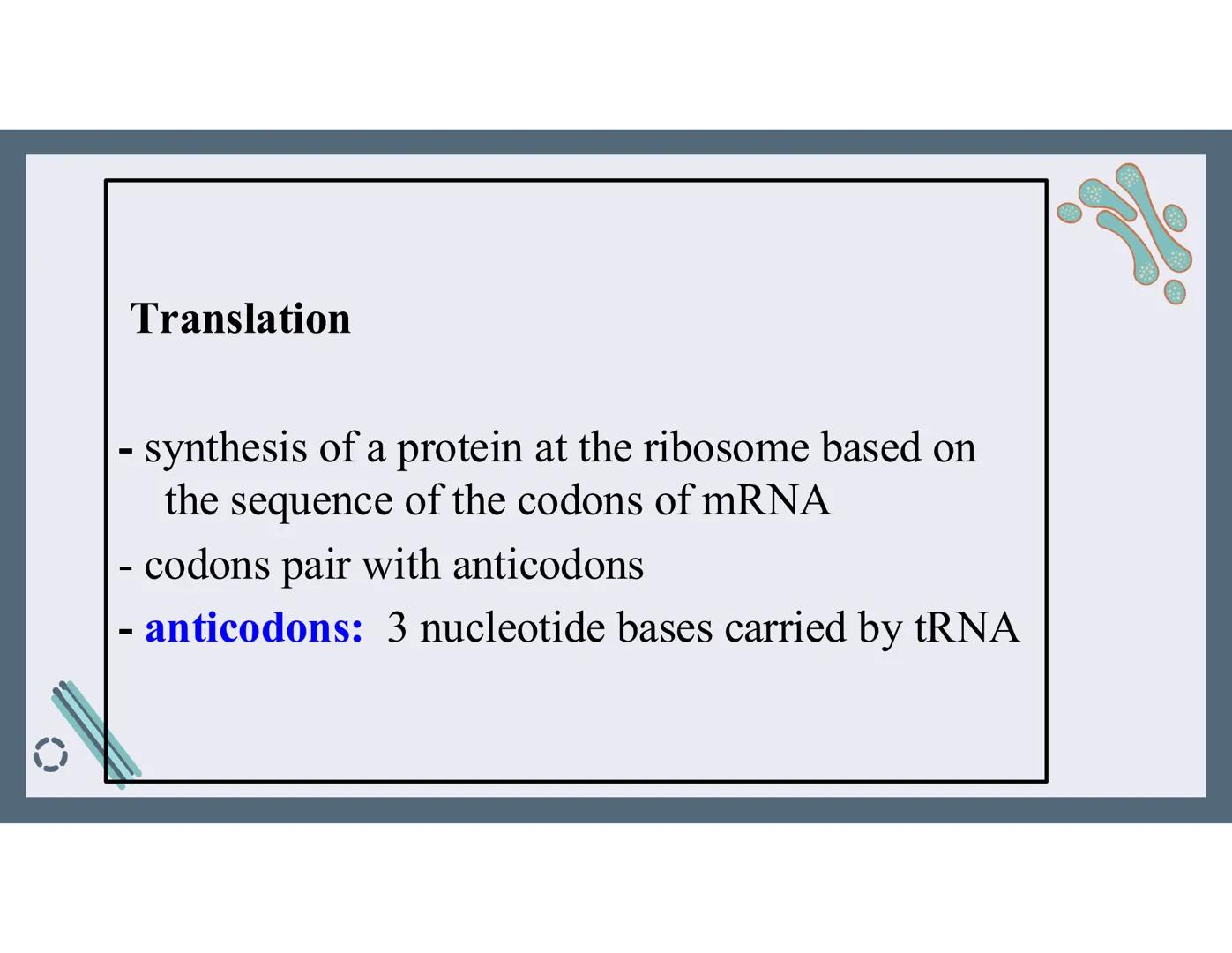 # 01
Functions of the cell Cells- basic units of all living things
Plasma membrane/ cell membrane- outer
boundary of the cell; cell interac