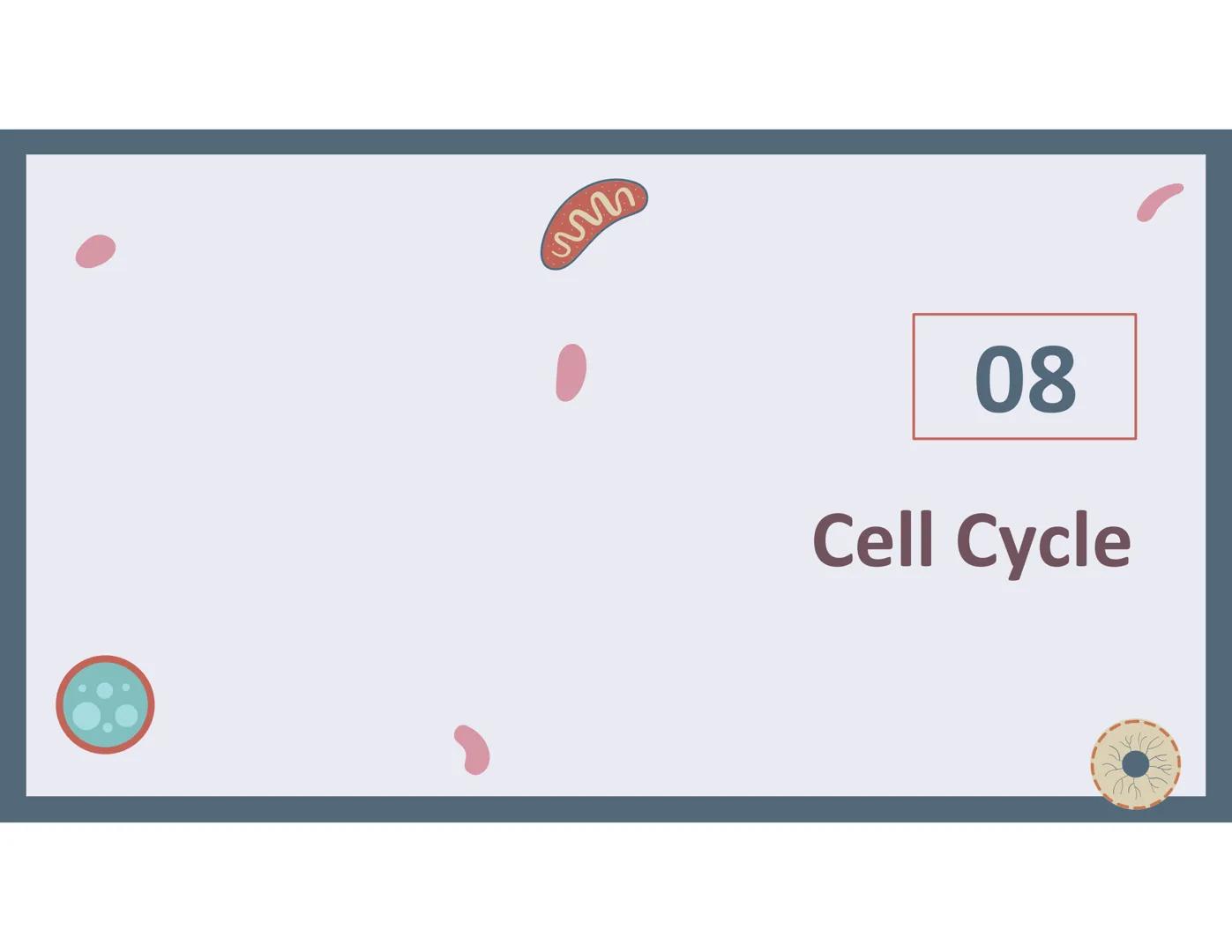 # 01
Functions of the cell Cells- basic units of all living things
Plasma membrane/ cell membrane- outer
boundary of the cell; cell interac