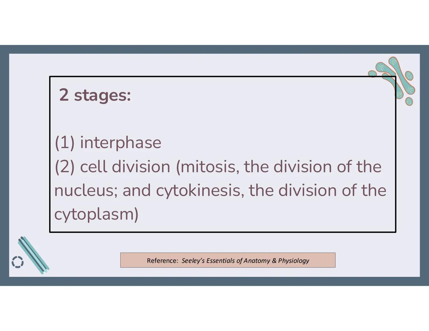 # 01
Functions of the cell Cells- basic units of all living things
Plasma membrane/ cell membrane- outer
boundary of the cell; cell interac