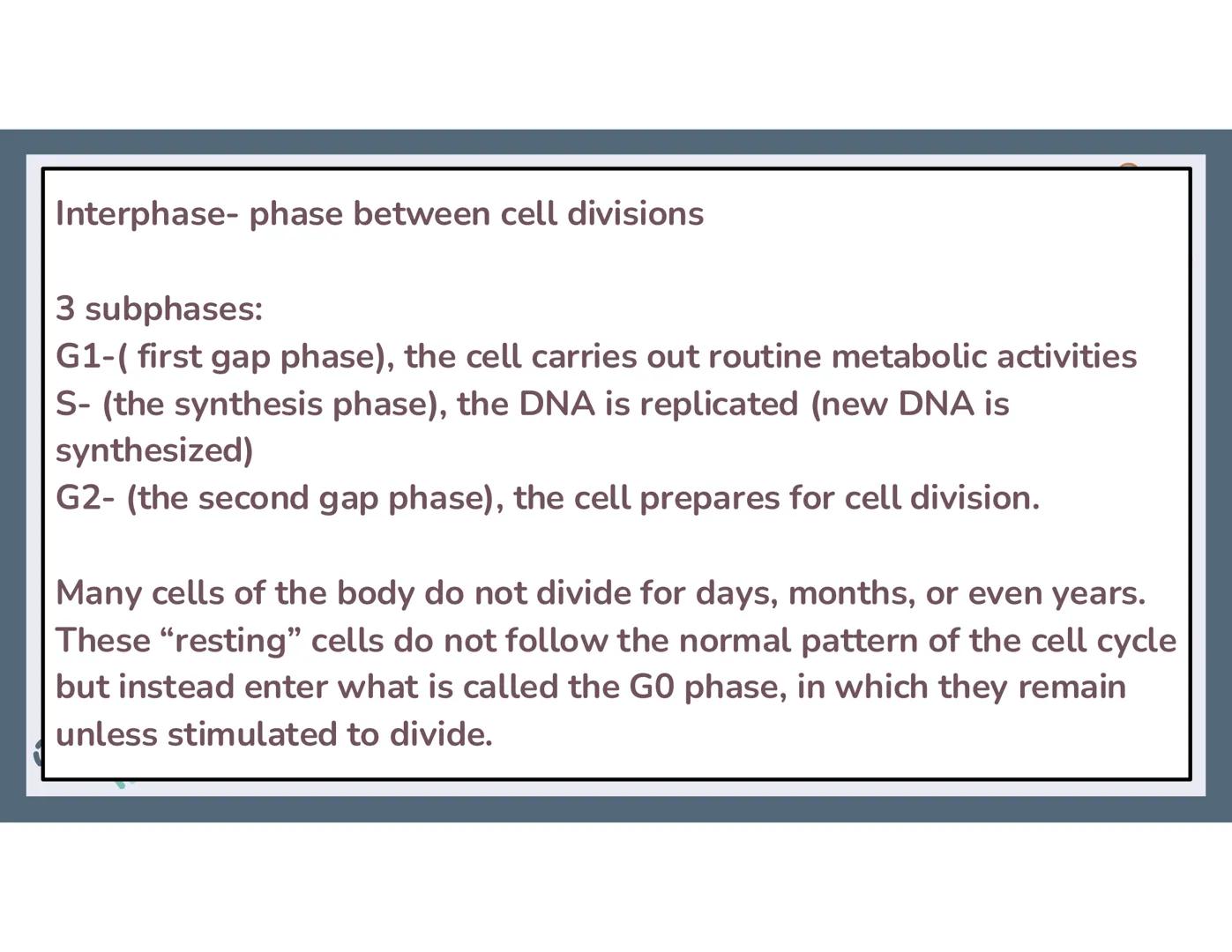 # 01
Functions of the cell Cells- basic units of all living things
Plasma membrane/ cell membrane- outer
boundary of the cell; cell interac