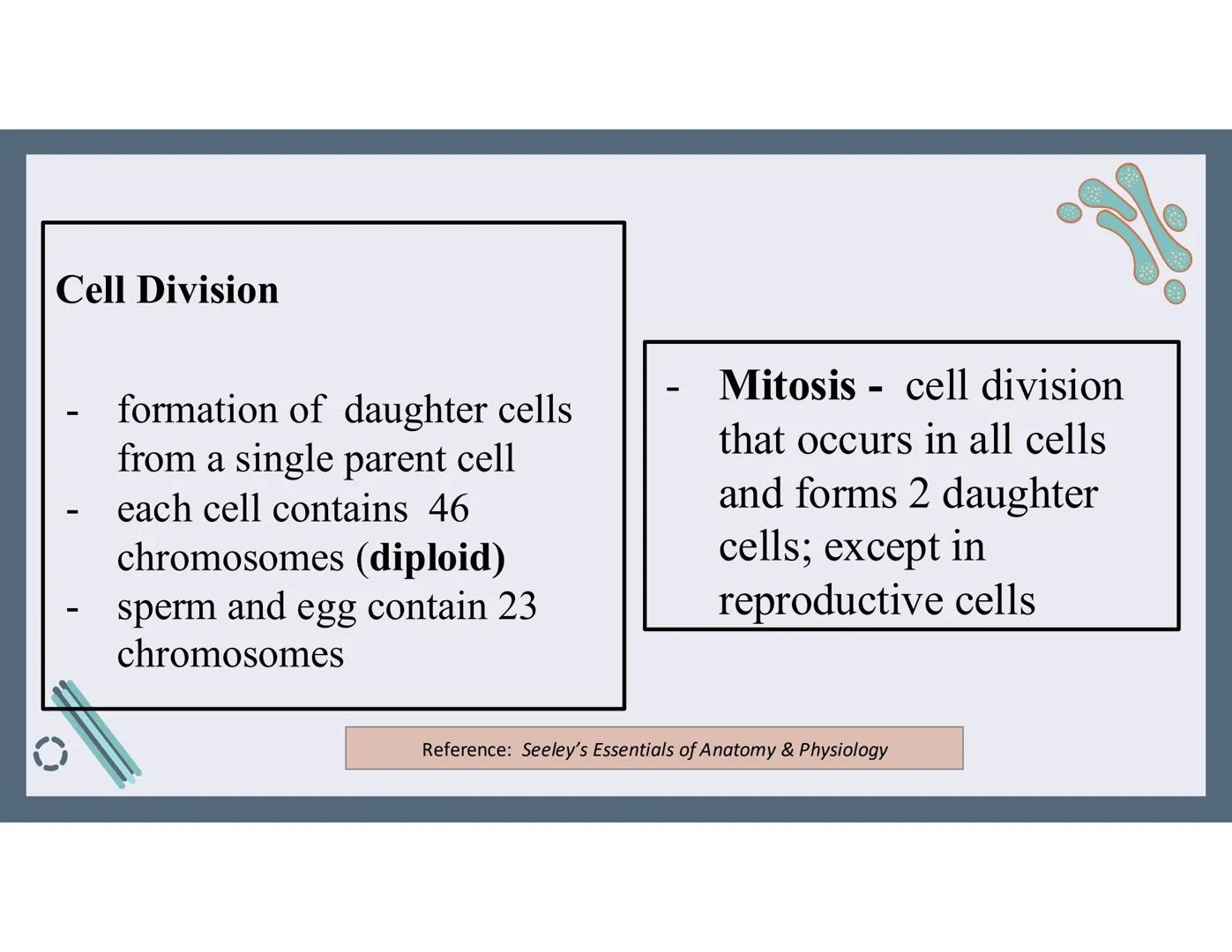 # 01
Functions of the cell Cells- basic units of all living things
Plasma membrane/ cell membrane- outer
boundary of the cell; cell interac