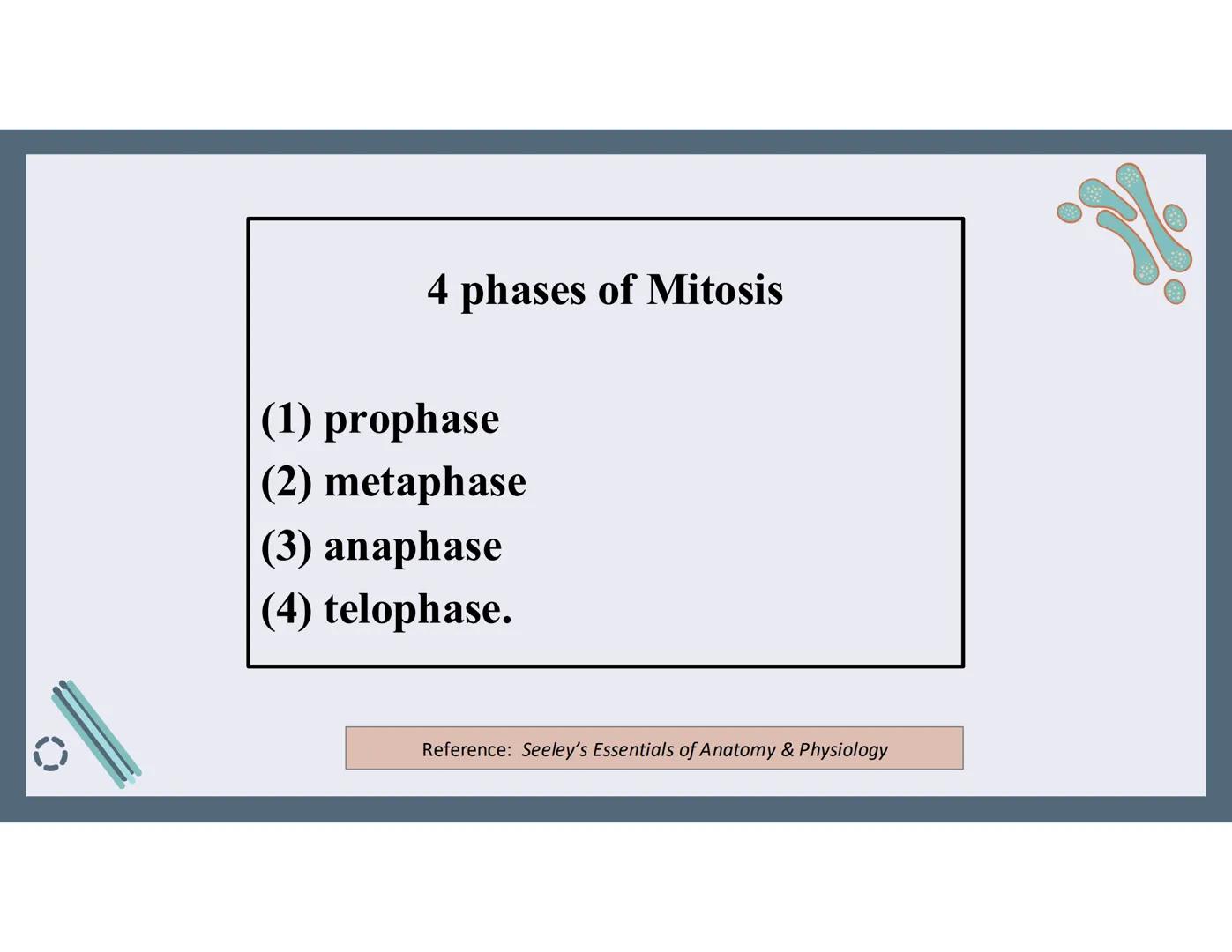 # 01
Functions of the cell Cells- basic units of all living things
Plasma membrane/ cell membrane- outer
boundary of the cell; cell interac