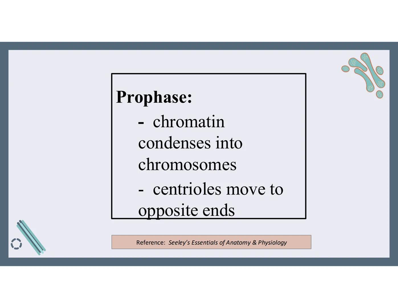 # 01
Functions of the cell Cells- basic units of all living things
Plasma membrane/ cell membrane- outer
boundary of the cell; cell interac
