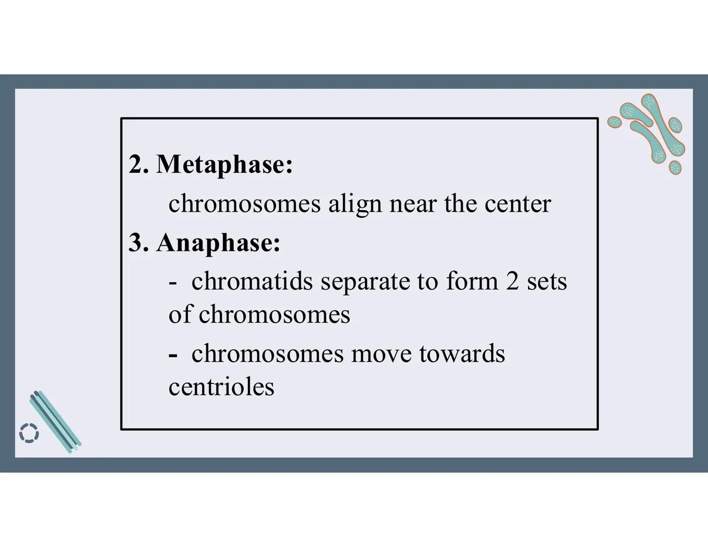 # 01
Functions of the cell Cells- basic units of all living things
Plasma membrane/ cell membrane- outer
boundary of the cell; cell interac
