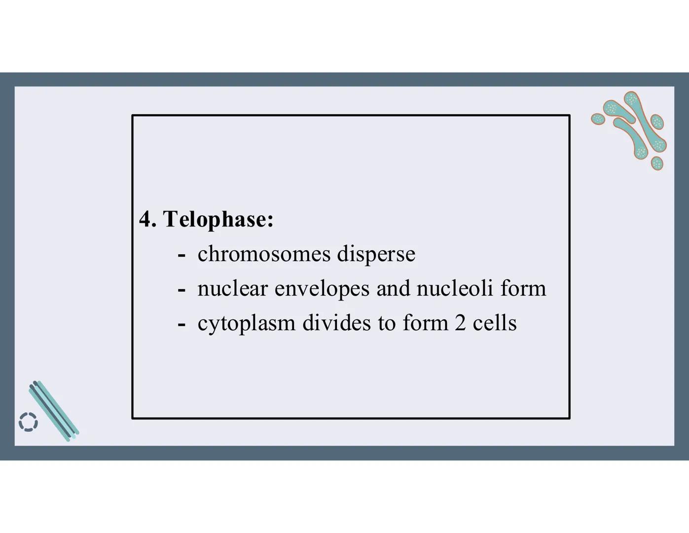 # 01
Functions of the cell Cells- basic units of all living things
Plasma membrane/ cell membrane- outer
boundary of the cell; cell interac