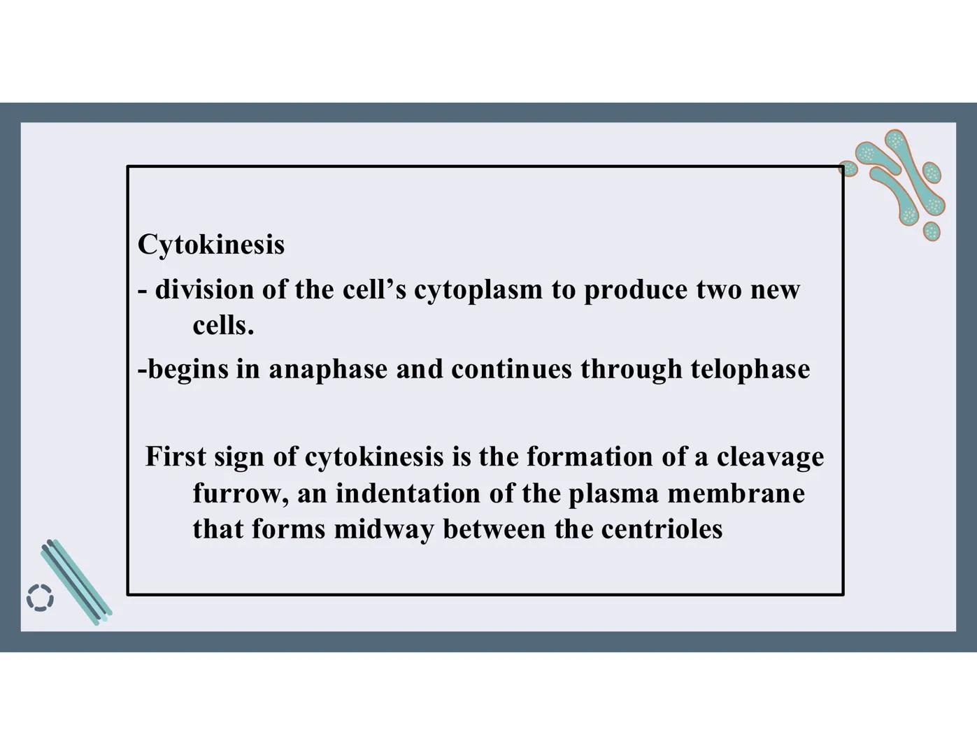 # 01
Functions of the cell Cells- basic units of all living things
Plasma membrane/ cell membrane- outer
boundary of the cell; cell interac