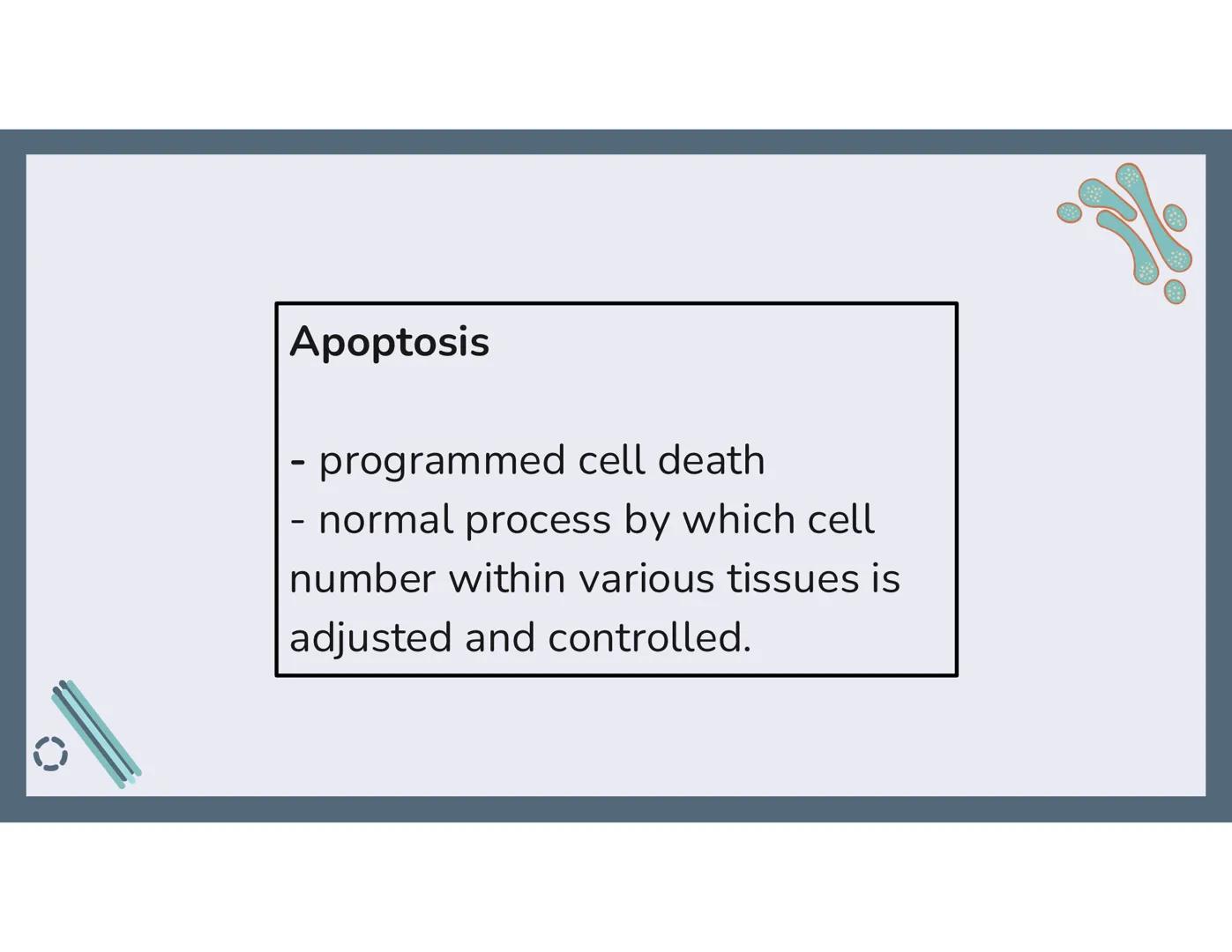 # 01
Functions of the cell Cells- basic units of all living things
Plasma membrane/ cell membrane- outer
boundary of the cell; cell interac