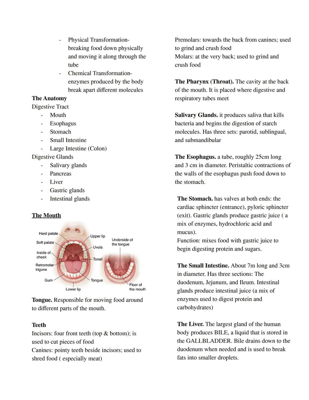 GENERAL BIOLOGY II
The Male Reproductive System
The Female Reproductive System
Testes
Ovaries
- Produces sperm cells (gametes)
- Produce