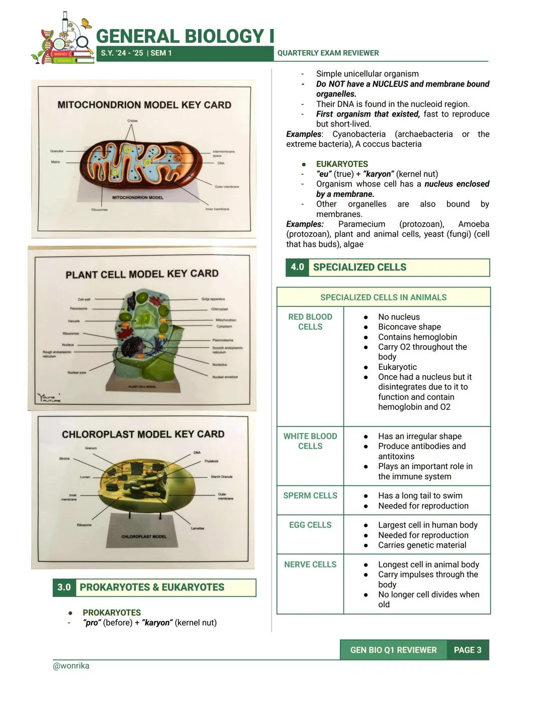 GENERAL BIOLOGY I
S.Y. '24-'25 | SEM 1
QUARTERLY EXAM REVIEWER
1.0 CELL
CELL
- It is the basic unit of structure and function in
living thin
