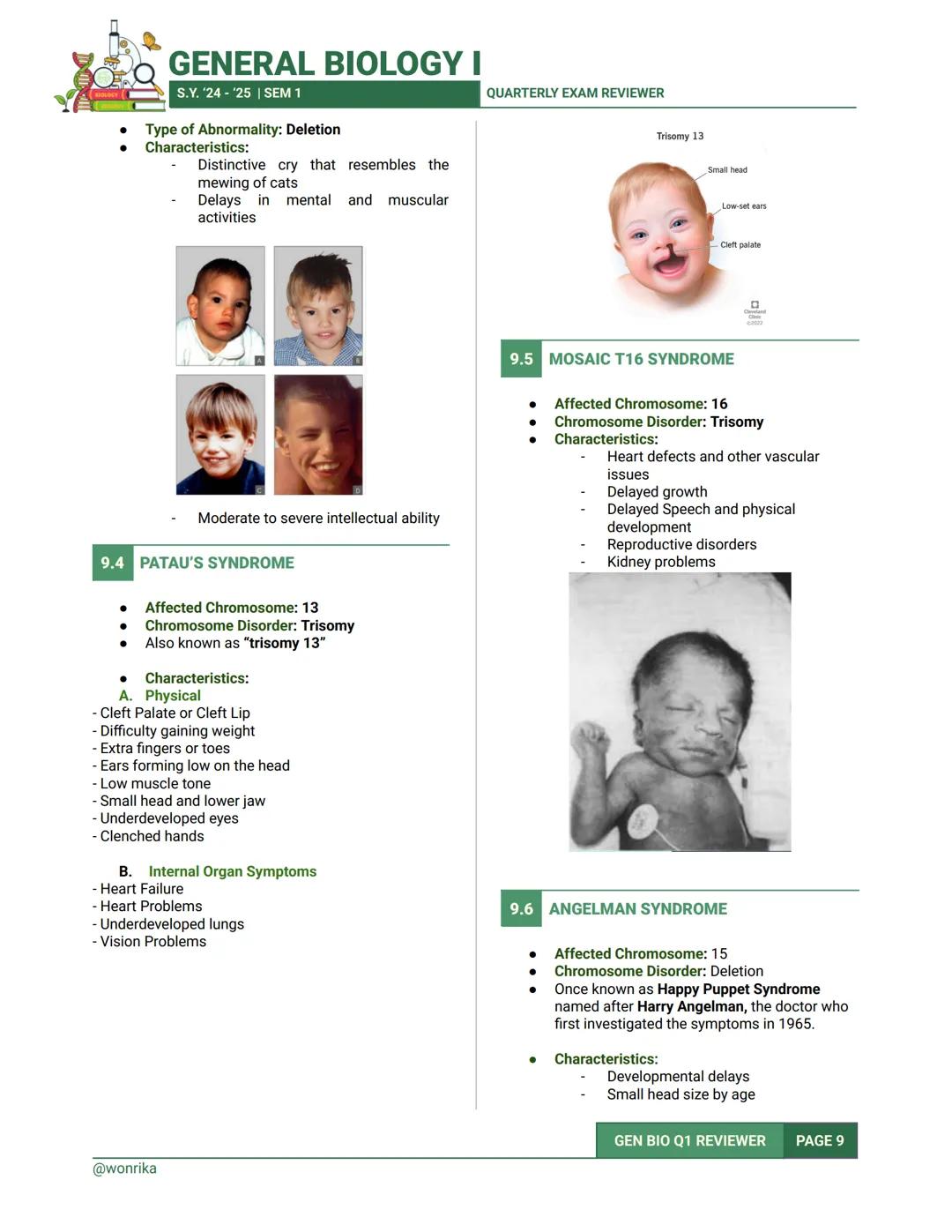 GENERAL BIOLOGY I
S.Y. '24-'25 | SEM 1
QUARTERLY EXAM REVIEWER
1.0 CELL
CELL
- It is the basic unit of structure and function in
living thin