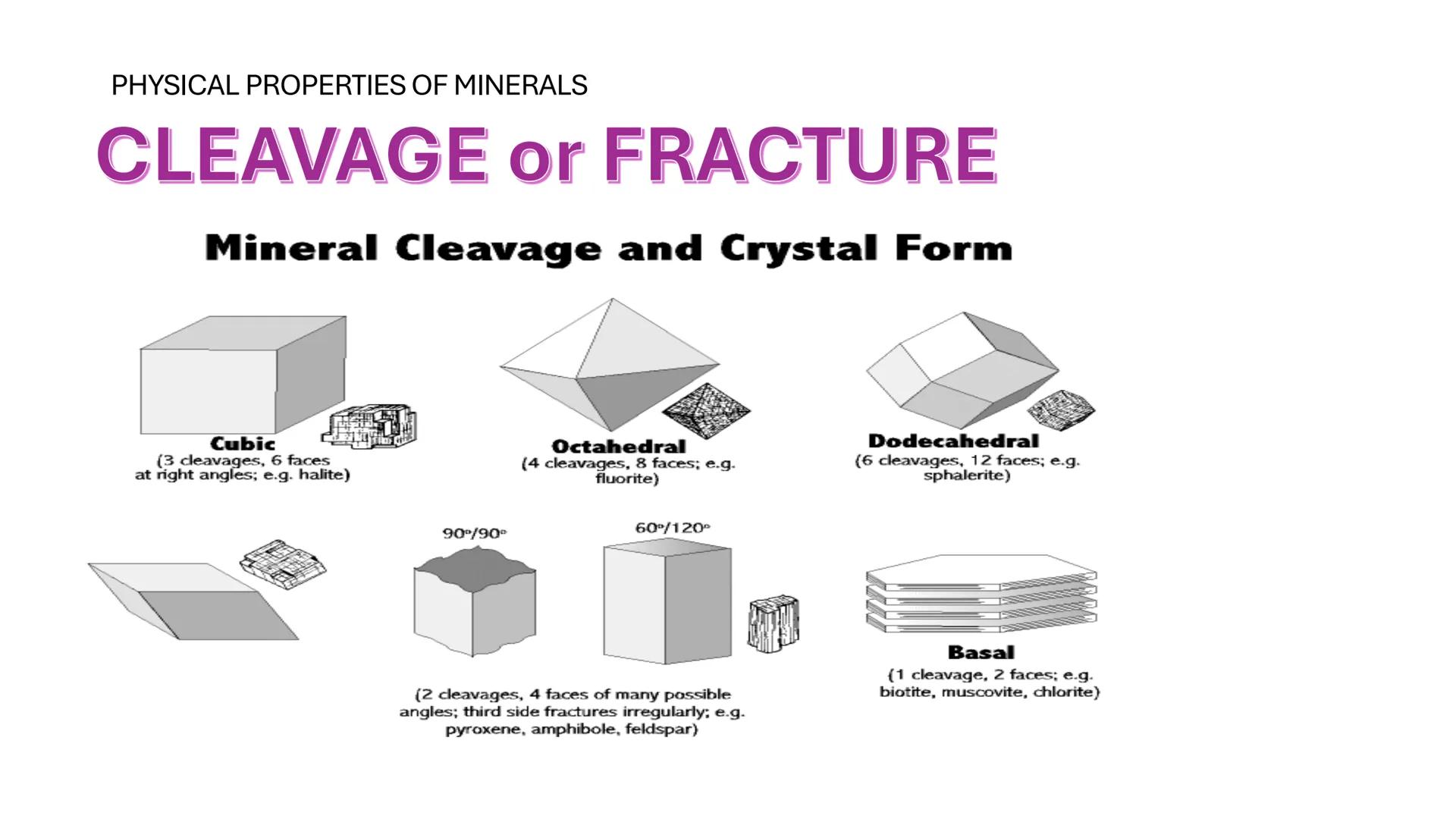 # ROCKS AND MINERALS WHAT ARE THEIR DIFFERENCES?
ROCKS
MINERALS
&GEMS
The definitive visual catalog
of the treasure beneath your feet
1,000