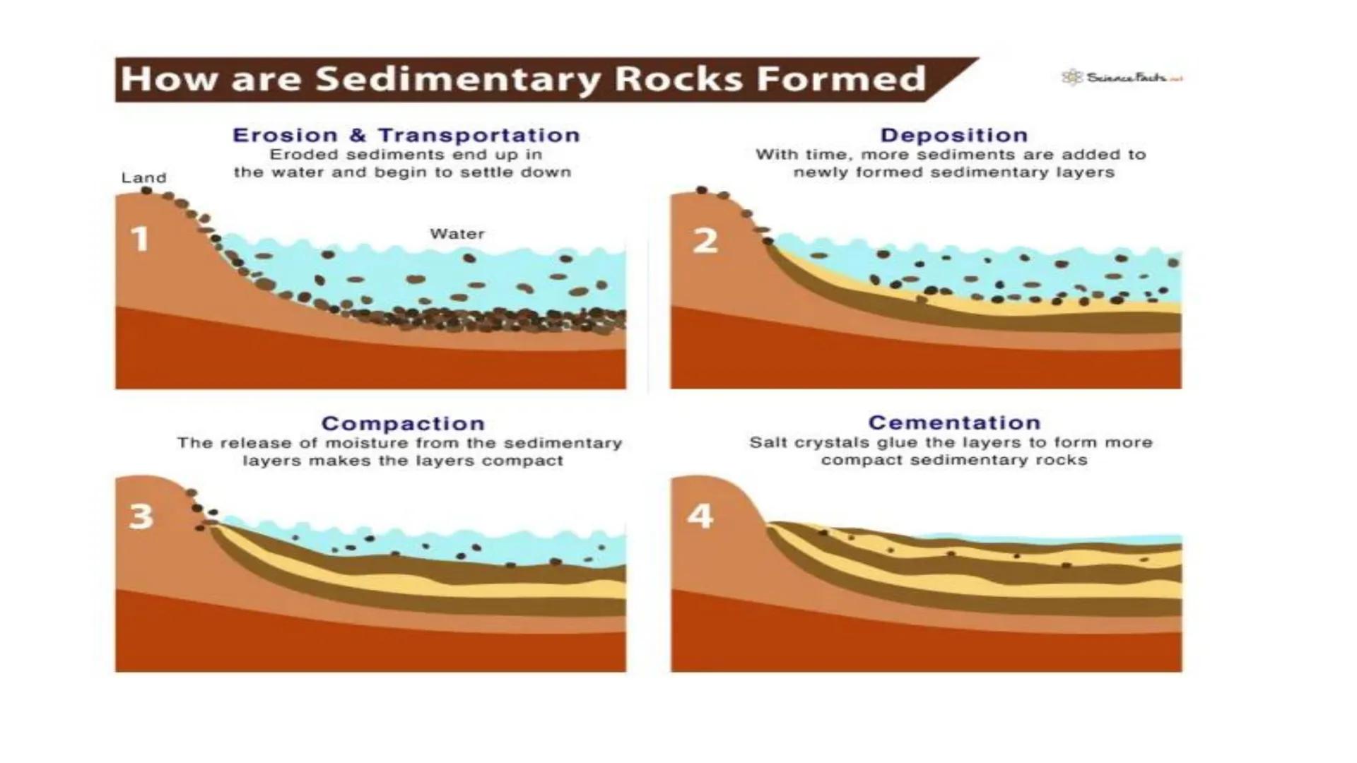# ROCKS AND MINERALS WHAT ARE THEIR DIFFERENCES?
ROCKS
MINERALS
&GEMS
The definitive visual catalog
of the treasure beneath your feet
1,000