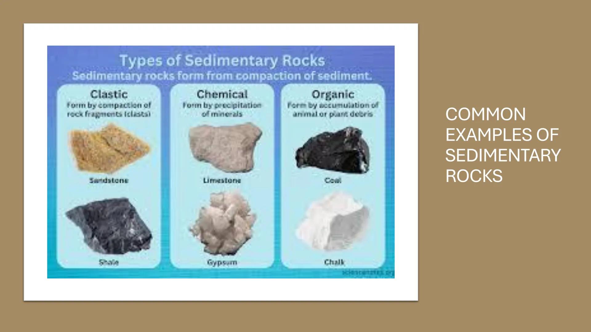# ROCKS AND MINERALS WHAT ARE THEIR DIFFERENCES?
ROCKS
MINERALS
&GEMS
The definitive visual catalog
of the treasure beneath your feet
1,000