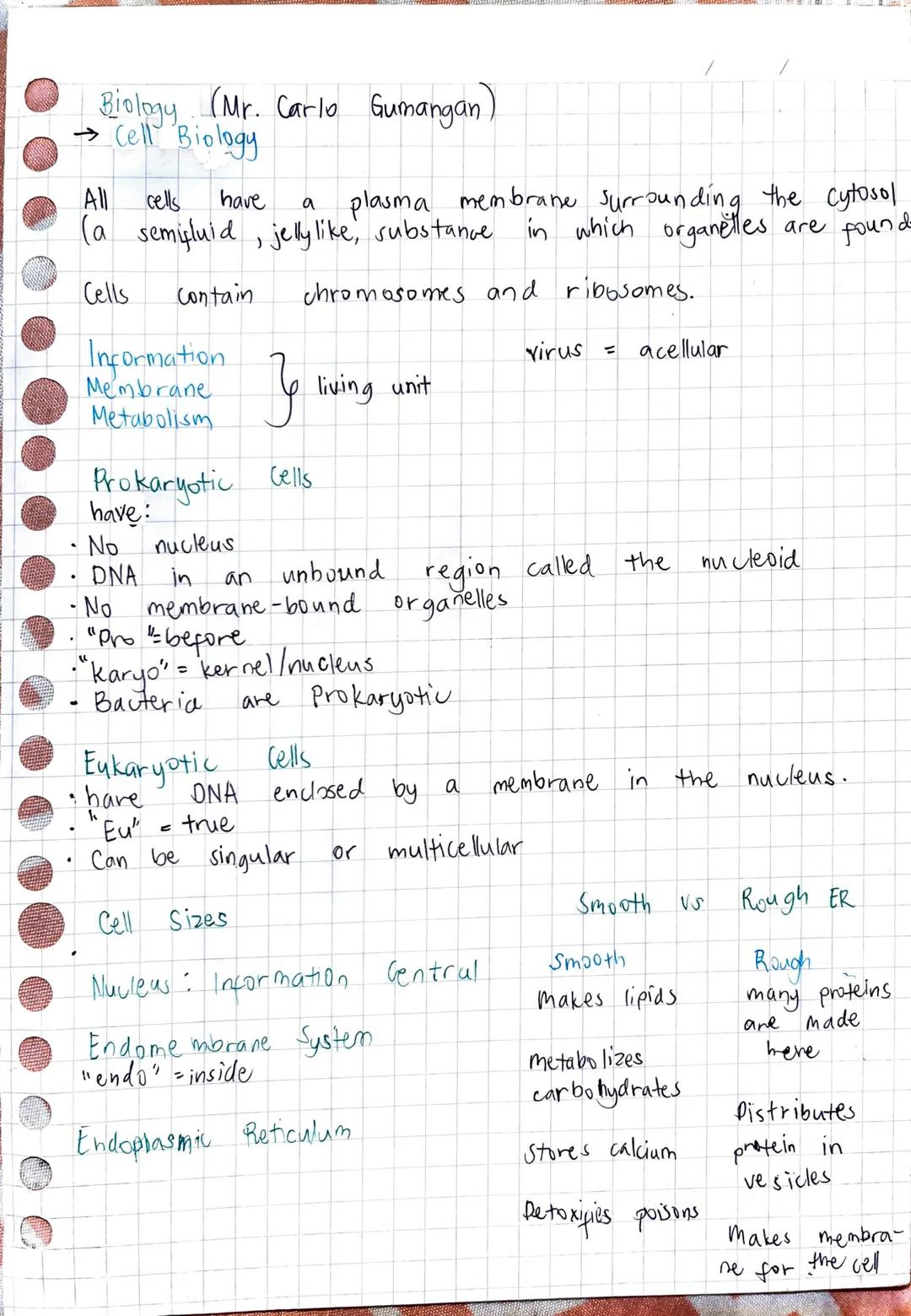 --- OCR Start ---
/Biology (Mr. Carlo Gumangan)
→Cell Biology
All cells have a plasma membrane surrounding the cytosol
(a semifluid, jellyli