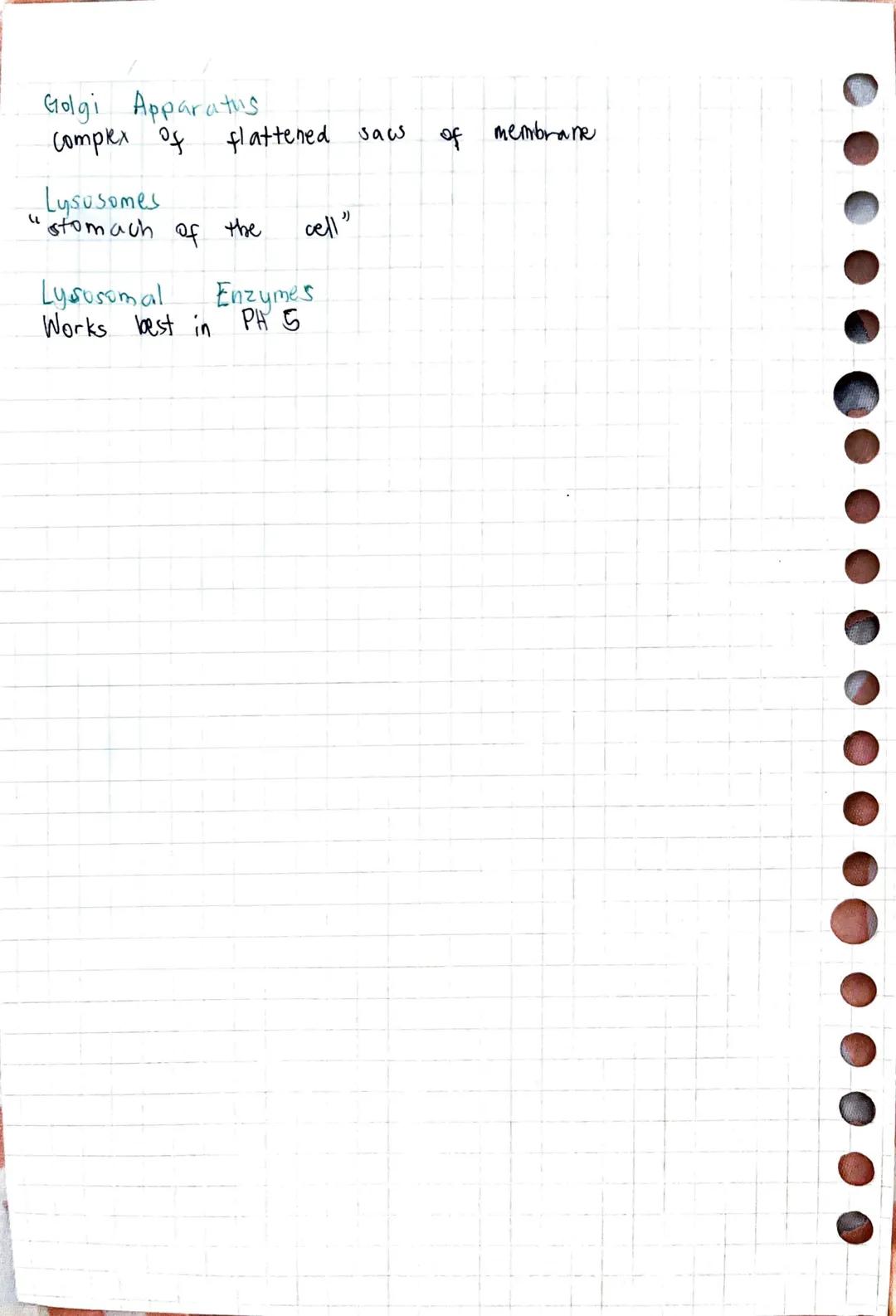 --- OCR Start ---
/Biology (Mr. Carlo Gumangan)
→Cell Biology
All cells have a plasma membrane surrounding the cytosol
(a semifluid, jellyli