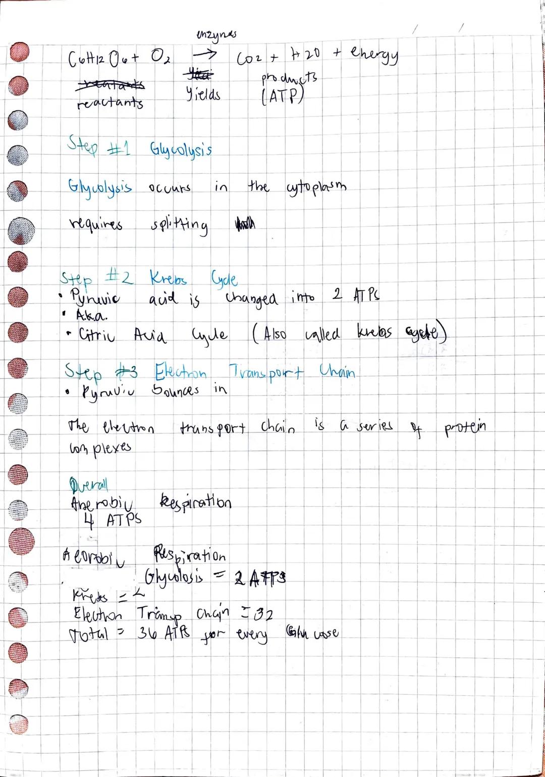 --- OCR Start ---
/Biology (Mr. Carlo Gumangan)
→Cell Biology
All cells have a plasma membrane surrounding the cytosol
(a semifluid, jellyli