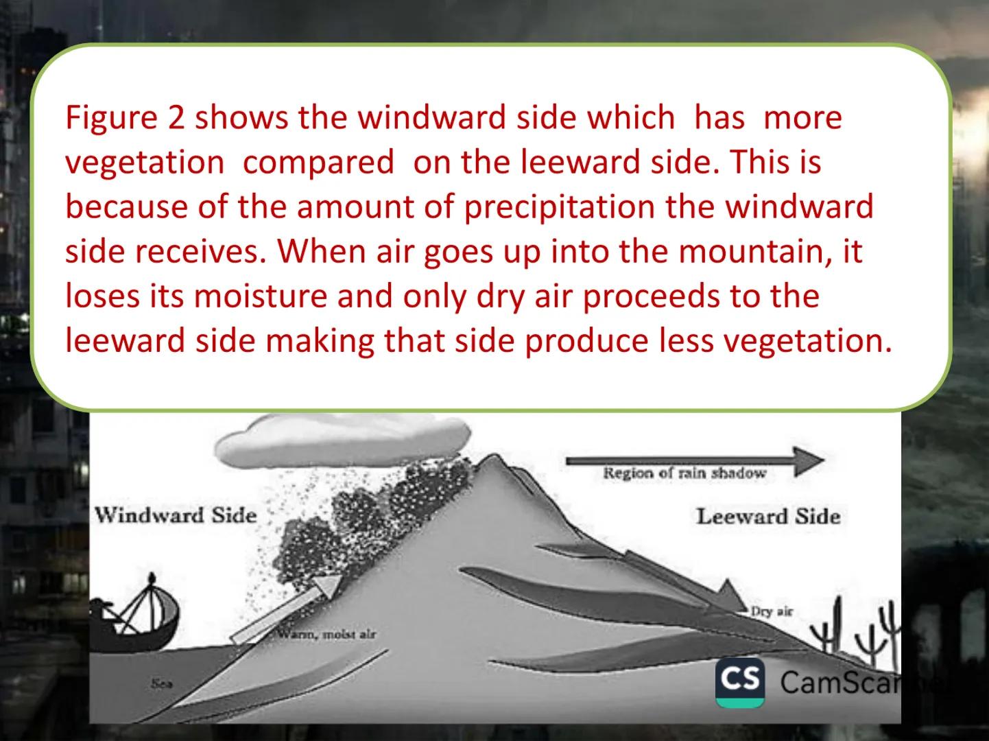 # Typhoons Google
Philippines
What is a typhoon?!
Google Search I'm Feeling Lucky
Google.com.ph offered in: Filipino Cebuano
CS CamScanner