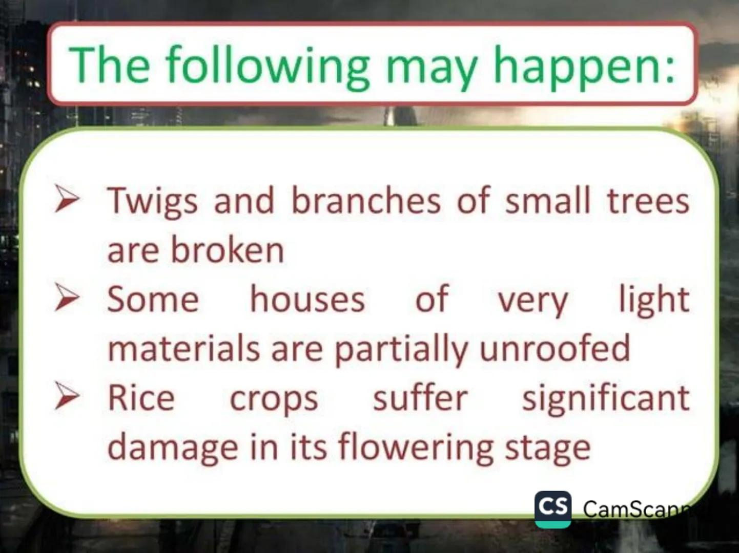 # Typhoons Google
Philippines
What is a typhoon?!
Google Search I'm Feeling Lucky
Google.com.ph offered in: Filipino Cebuano
CS CamScanner