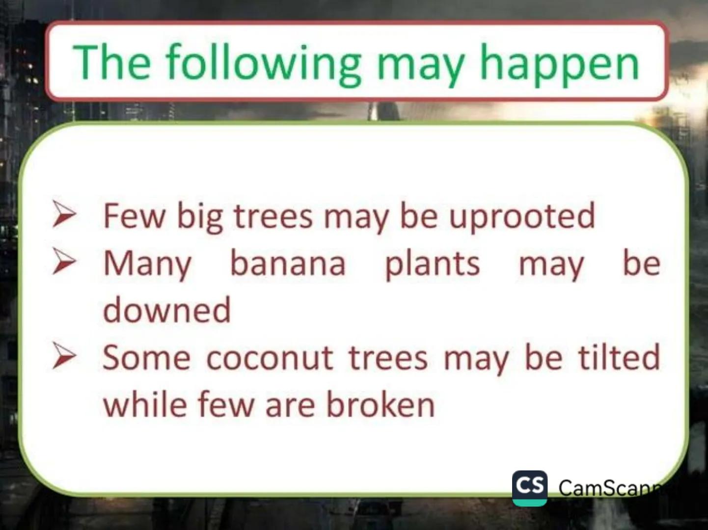 # Typhoons Google
Philippines
What is a typhoon?!
Google Search I'm Feeling Lucky
Google.com.ph offered in: Filipino Cebuano
CS CamScanner