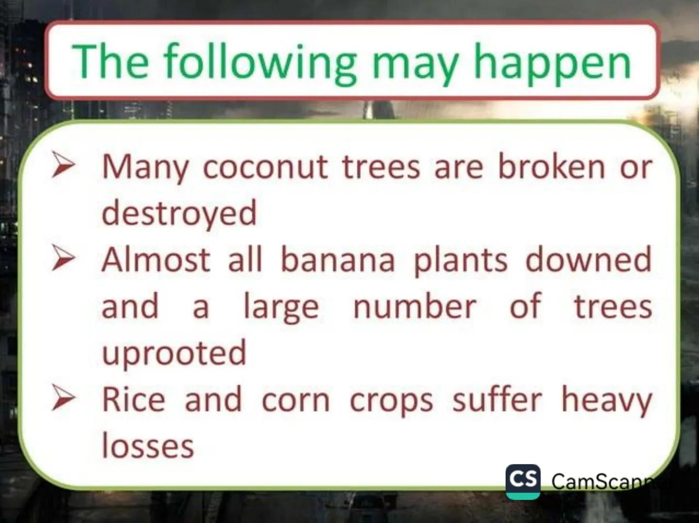 # Typhoons Google
Philippines
What is a typhoon?!
Google Search I'm Feeling Lucky
Google.com.ph offered in: Filipino Cebuano
CS CamScanner
