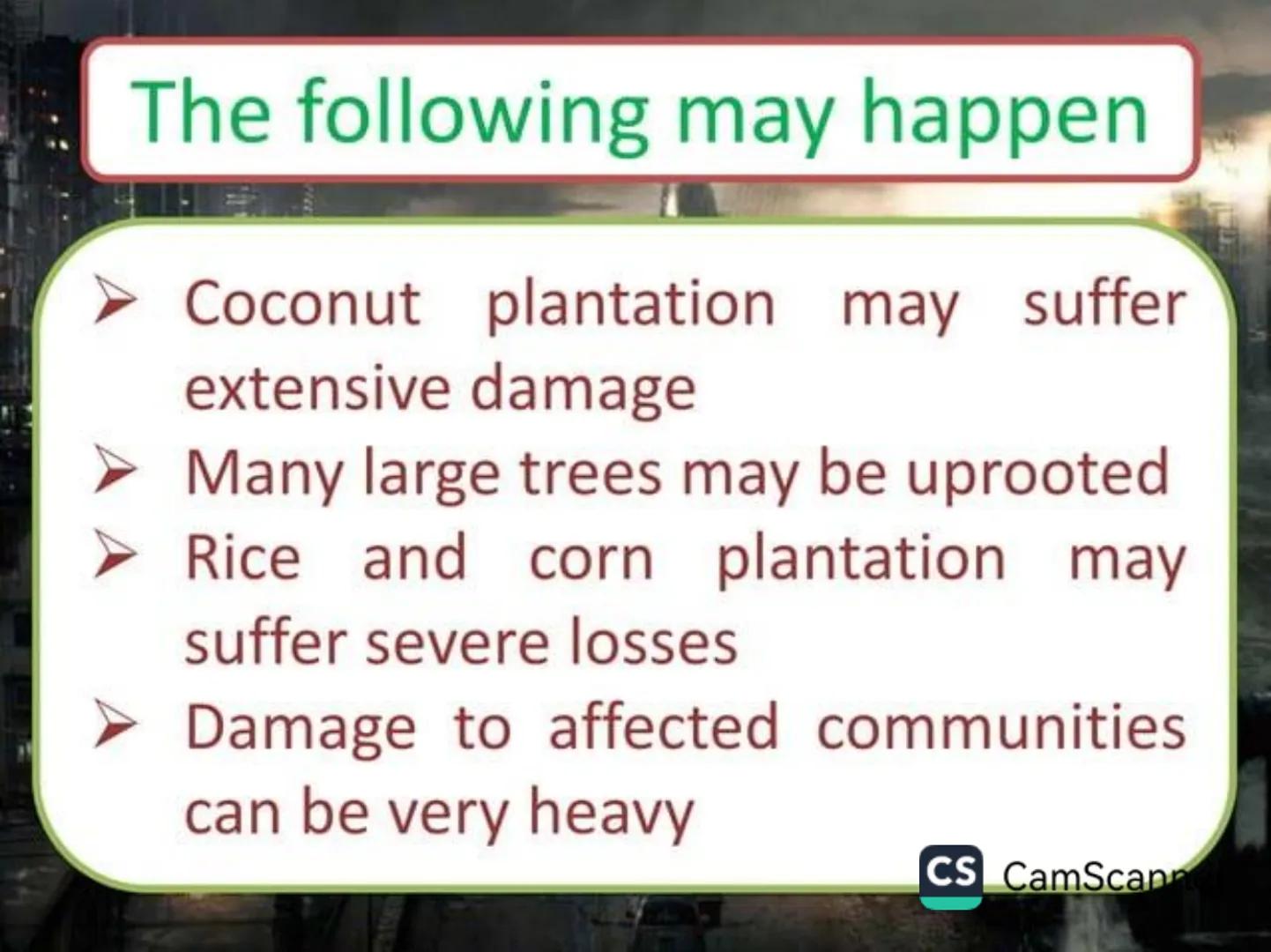 # Typhoons Google
Philippines
What is a typhoon?!
Google Search I'm Feeling Lucky
Google.com.ph offered in: Filipino Cebuano
CS CamScanner