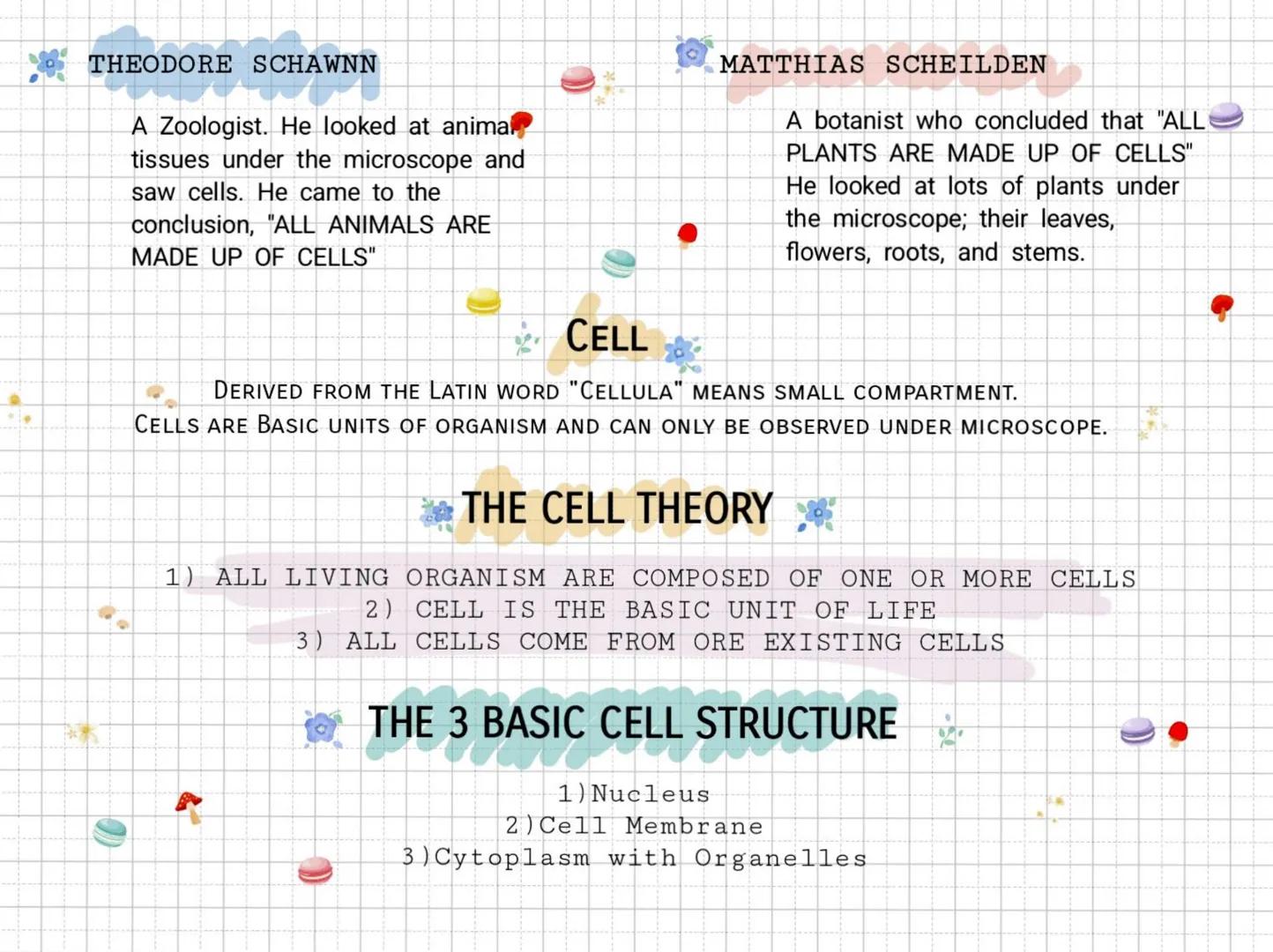 The Cell Theory
ANTON VON LEEWENHOEK(1632-1723)
A Dutch Businessman and a contemporary of
Hooke used his own(single lens) monocular
microsco