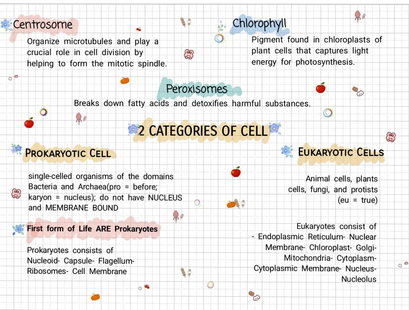 The Cell Theory
ANTON VON LEEWENHOEK(1632-1723)
A Dutch Businessman and a contemporary of
Hooke used his own(single lens) monocular
microsco