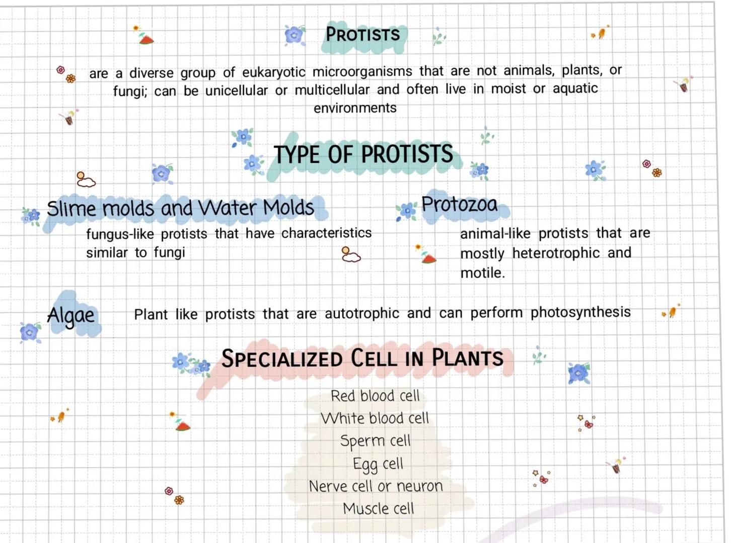 The Cell Theory
ANTON VON LEEWENHOEK(1632-1723)
A Dutch Businessman and a contemporary of
Hooke used his own(single lens) monocular
microsco