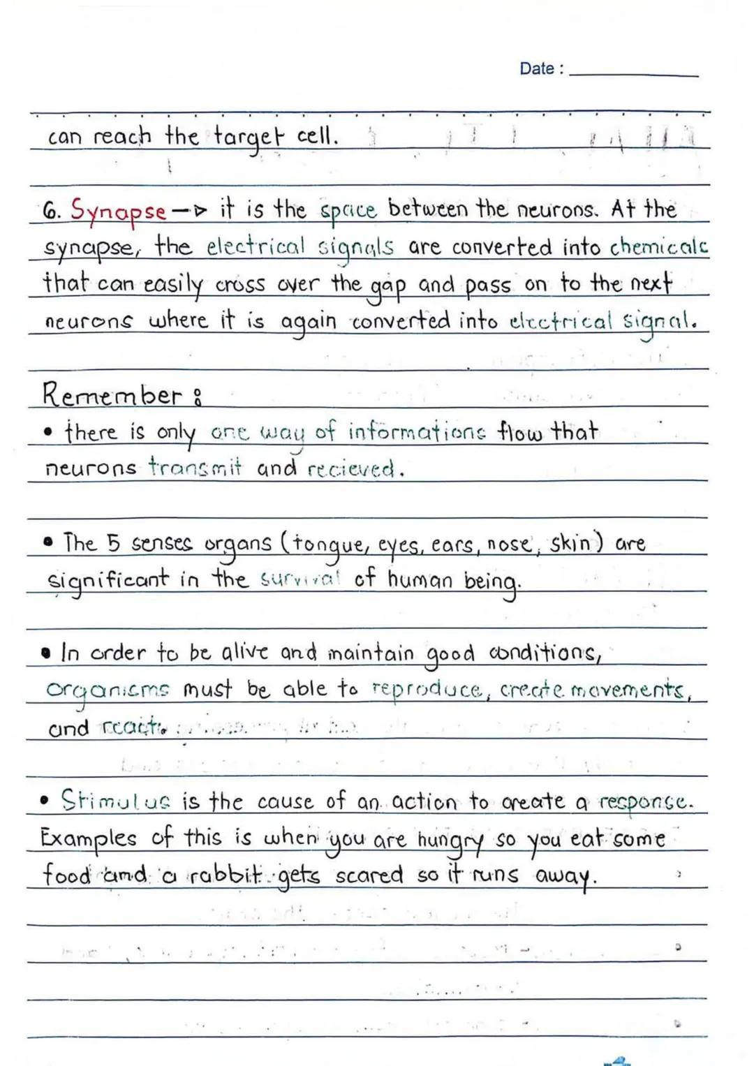 3RD QUARTER
Date:
Body
erve cells, send and recieve
neurons have a lot in
Ils, they're structurally
on many scientific research,
of neurons