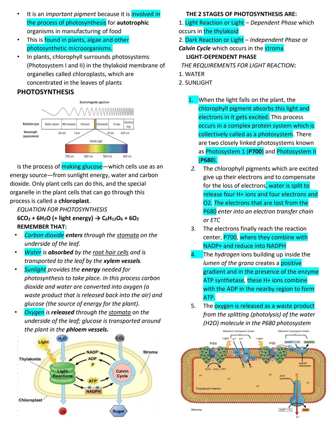 GENERAL BIOLOGY
THE ATP-ADP CYCLE
Adenosine Triphosphate or ATP is often called the energy
currency of the cell. The molecule acts to couple