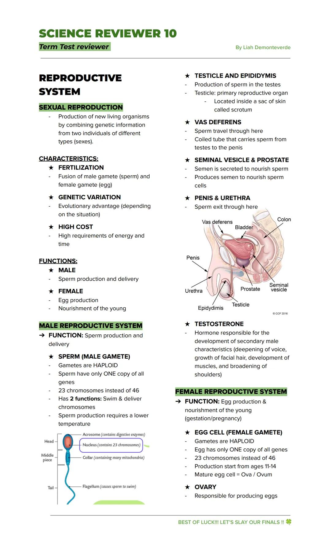 SCIENCE REVIEWER 10
Term Test reviewer
By Liah Demonteverde
REPRODUCTIVE
SYSTEM
SEXUAL REPRODUCTION
- Production of new living organisms
by